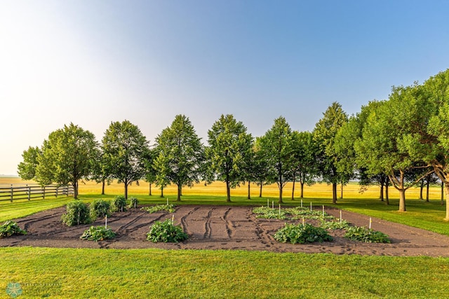 view of home's community with a lawn