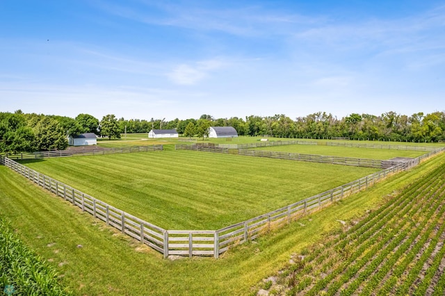 view of yard featuring a rural view