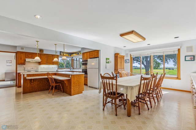 dining space with plenty of natural light