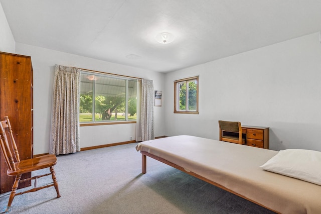 bedroom featuring carpet flooring