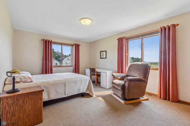 bedroom featuring carpet flooring