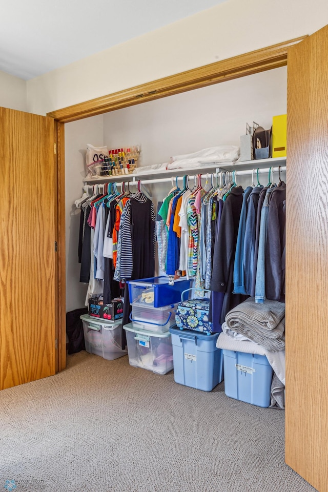 view of closet