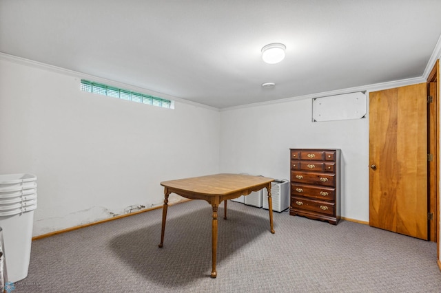 interior space with crown molding and carpet floors