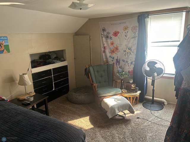 bedroom with lofted ceiling and carpet flooring