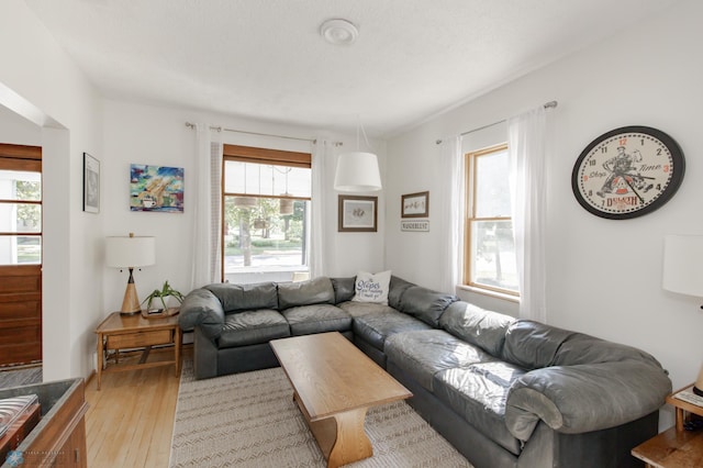 living room featuring a textured ceiling, a healthy amount of sunlight, and light hardwood / wood-style flooring