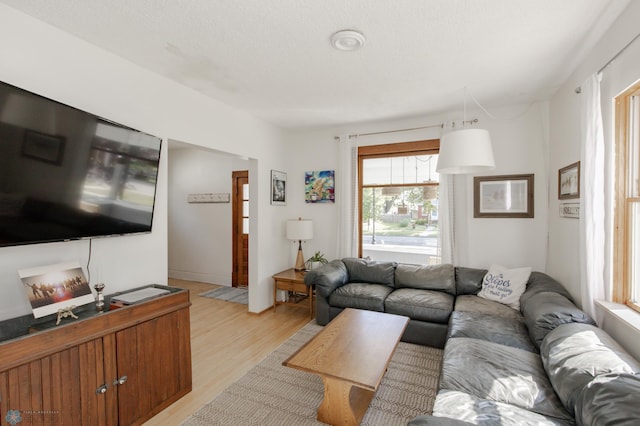 living room with a textured ceiling and light hardwood / wood-style flooring