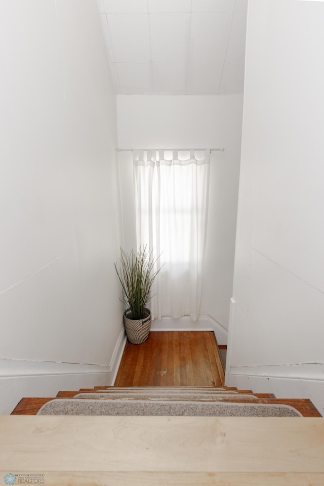 room details featuring wood-type flooring