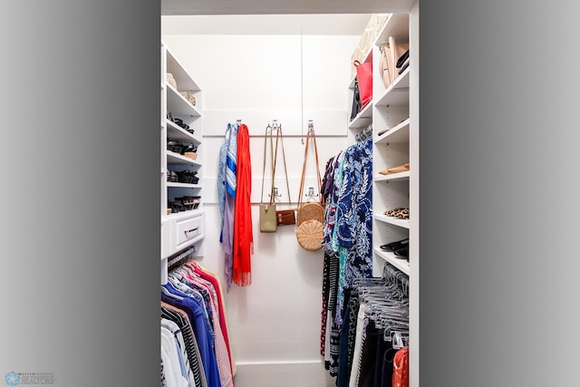 view of spacious closet