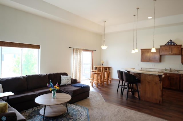 living room featuring dark hardwood / wood-style flooring and sink