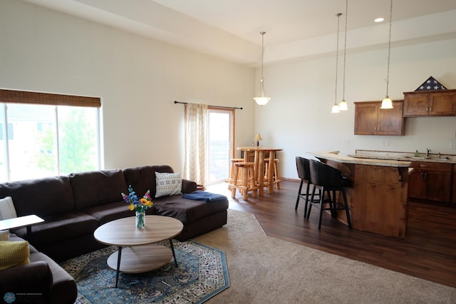 living room with dark hardwood / wood-style floors and sink