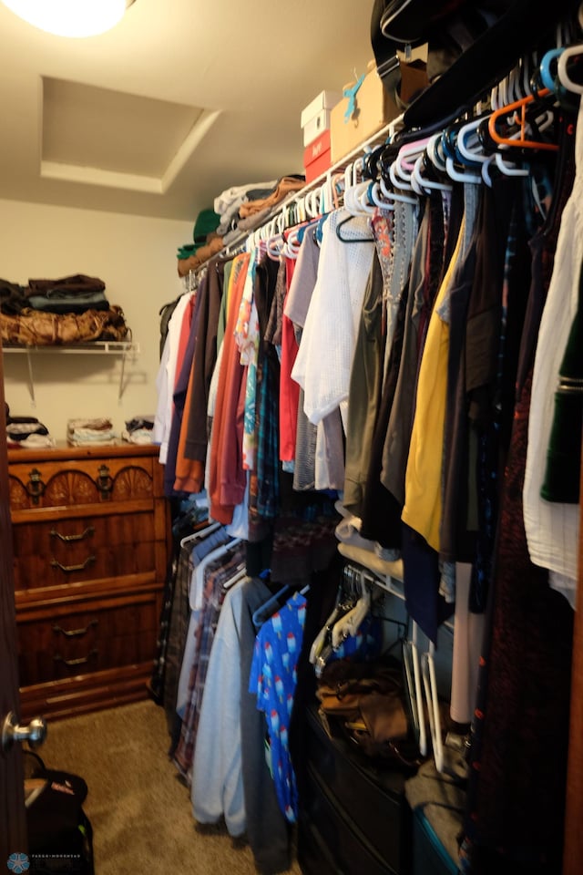 spacious closet featuring carpet