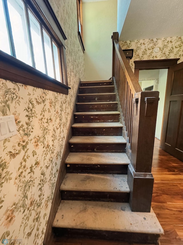 stairs with hardwood / wood-style floors