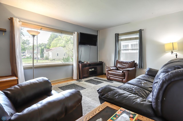 living room with light wood-type flooring