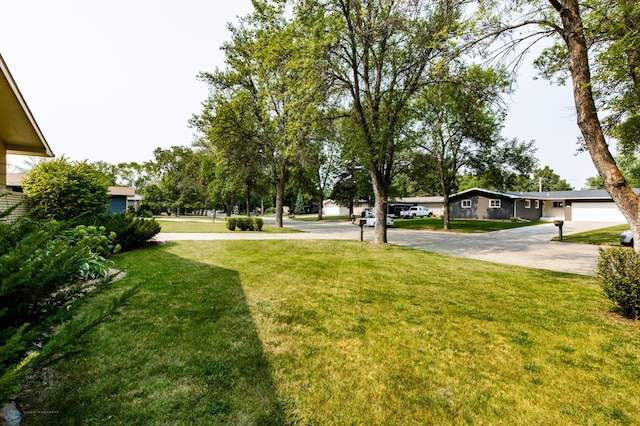 view of yard with a garage