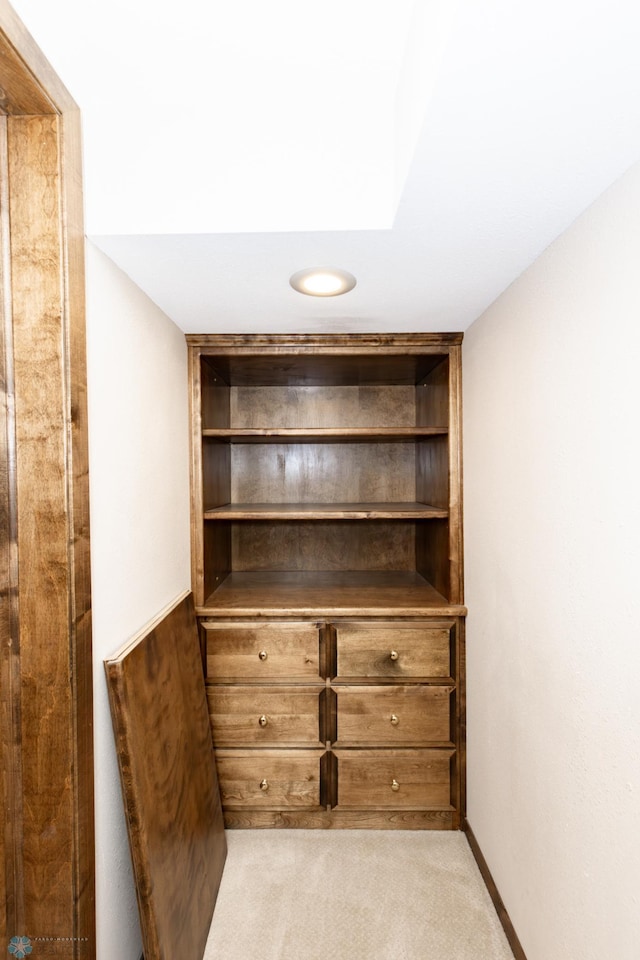 walk in closet with light carpet