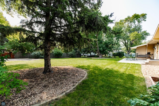 view of yard featuring a patio area