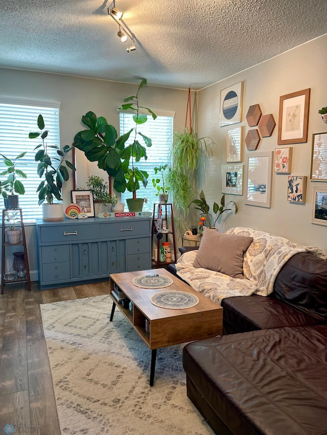 living room with rail lighting, dark hardwood / wood-style flooring, and a textured ceiling