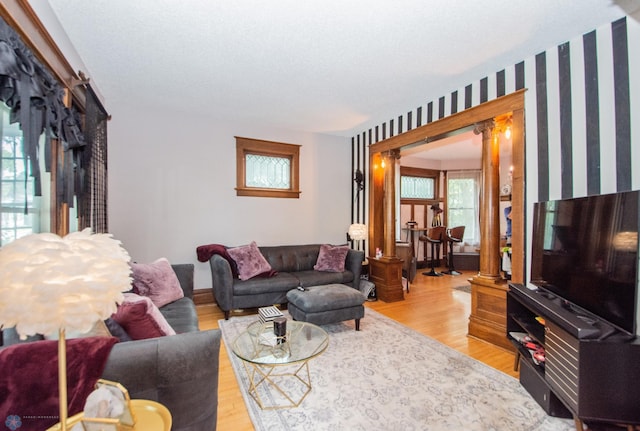 living room featuring wood-type flooring and decorative columns