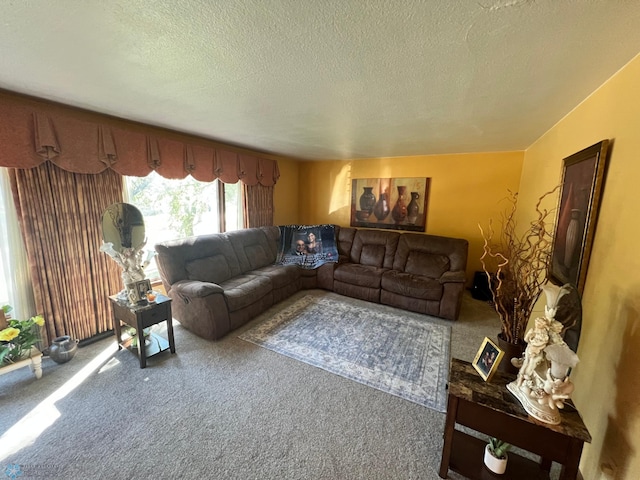 living room with carpet and a textured ceiling