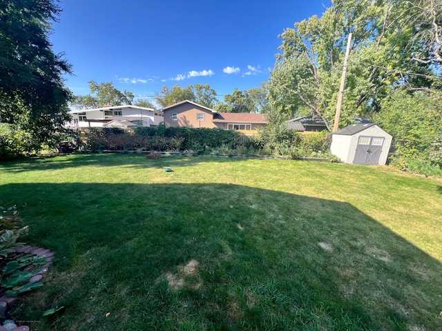 view of yard featuring a shed