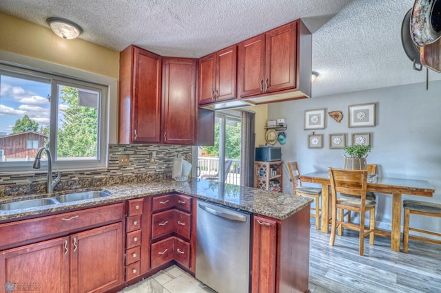 kitchen with light wood-type flooring, a wealth of natural light, sink, and stainless steel dishwasher