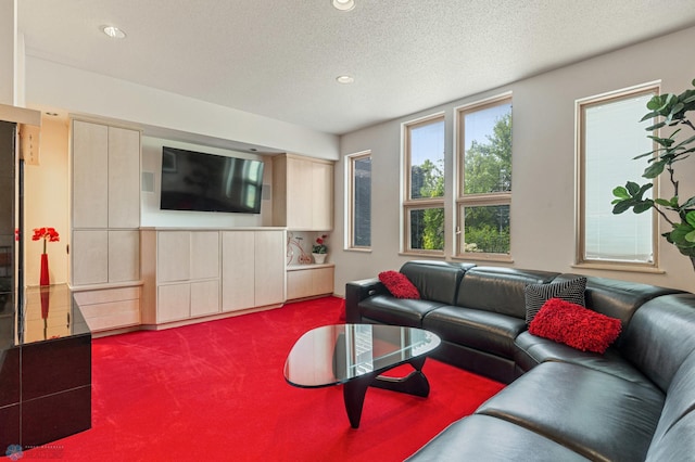 living room with a textured ceiling and carpet flooring