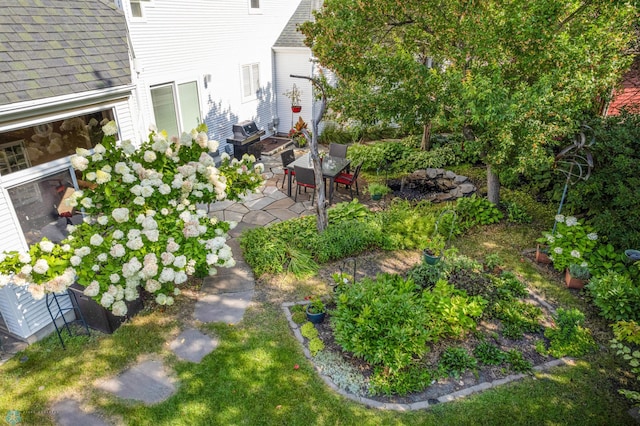 view of yard with a patio area