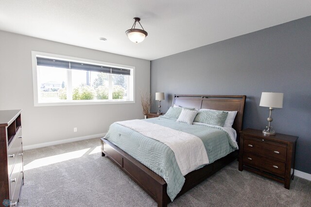 bedroom featuring carpet flooring