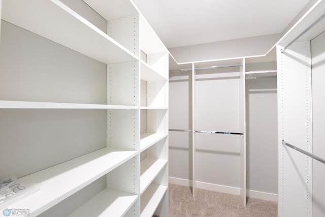 walk in closet with light colored carpet