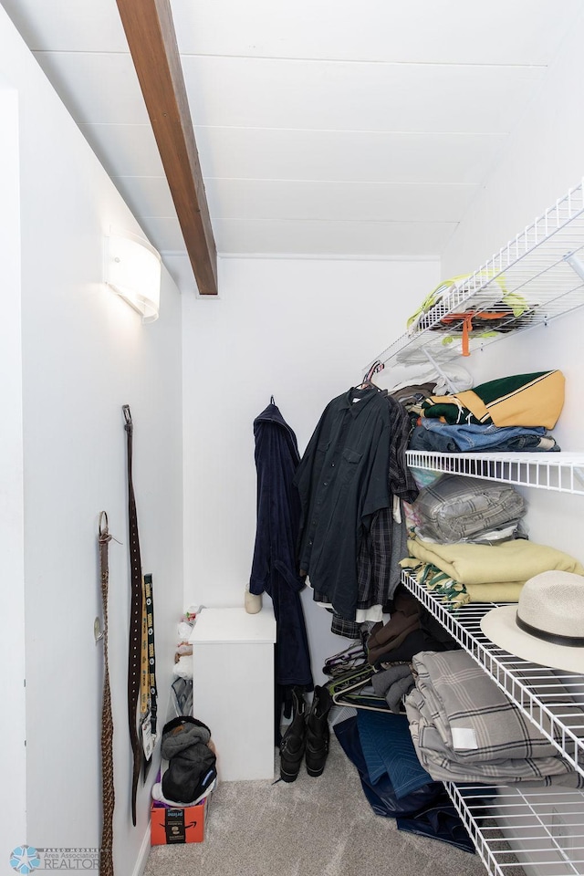 walk in closet featuring carpet flooring and beamed ceiling