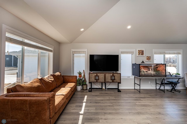 living room featuring vaulted ceiling and hardwood / wood-style floors