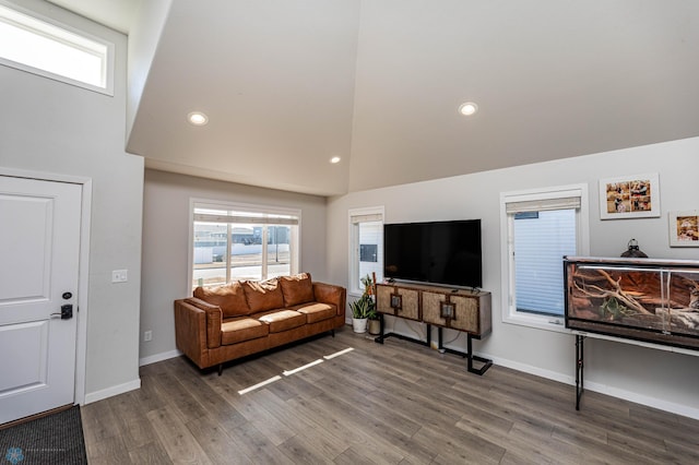 living room featuring hardwood / wood-style flooring and high vaulted ceiling