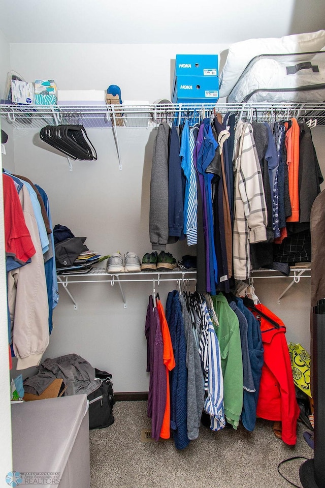 walk in closet featuring carpet