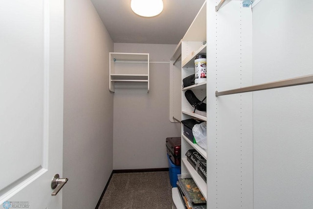 spacious closet featuring carpet