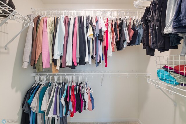 view of spacious closet