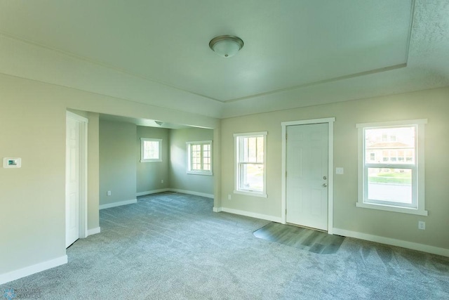 carpeted empty room featuring plenty of natural light