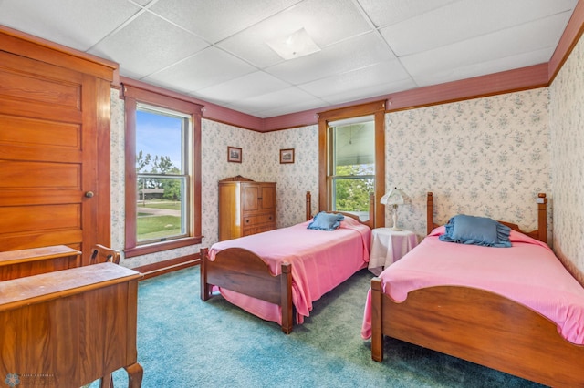 bedroom with carpet floors and a paneled ceiling