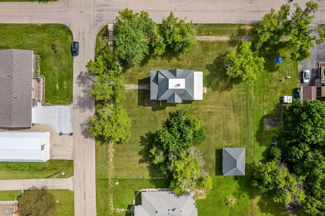 bird's eye view