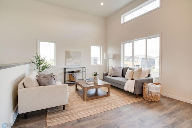 living room with a high ceiling and hardwood / wood-style floors