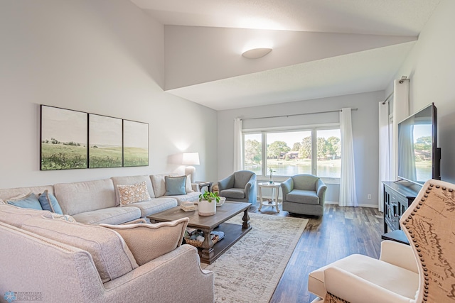 living room featuring dark hardwood / wood-style flooring and high vaulted ceiling