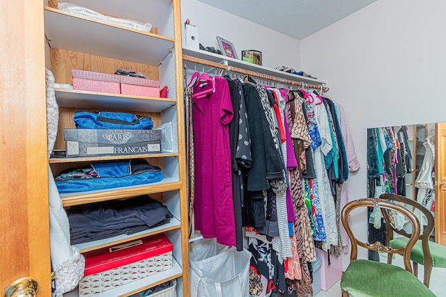 view of walk in closet