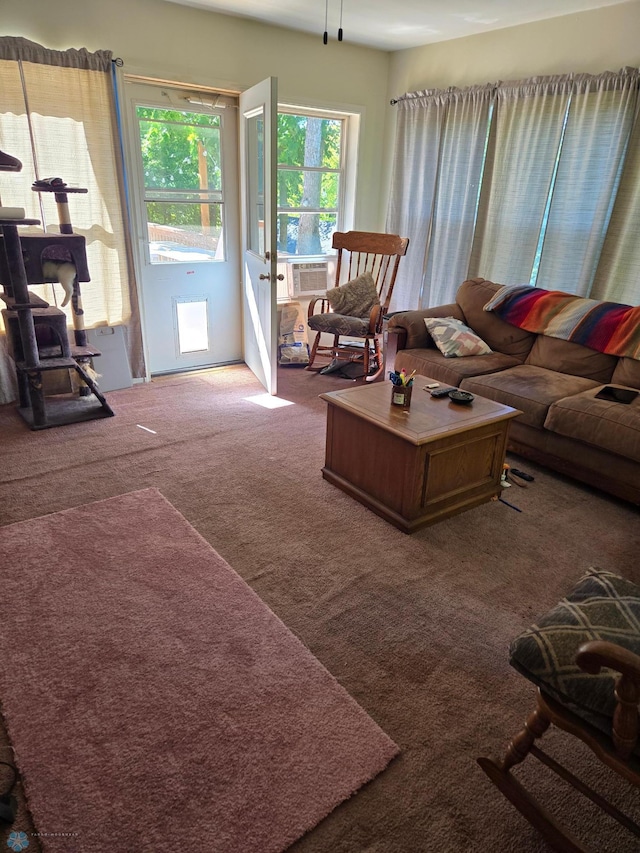 living room with carpet