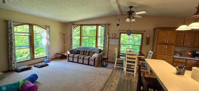 living room featuring ceiling fan, a textured ceiling, lofted ceiling, and dark hardwood / wood-style floors