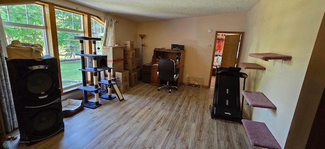 interior space with a textured ceiling and light hardwood / wood-style flooring