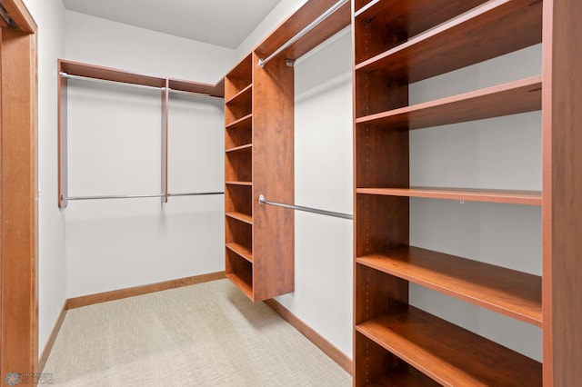 view of spacious closet