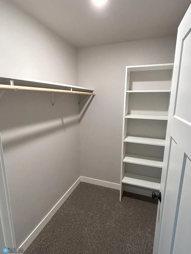 walk in closet featuring dark colored carpet