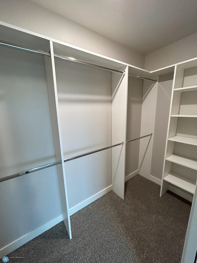 spacious closet with dark carpet