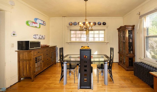 dining room with crown molding, radiator, light hardwood / wood-style flooring, and a chandelier