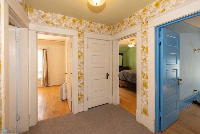 corridor with hardwood / wood-style floors