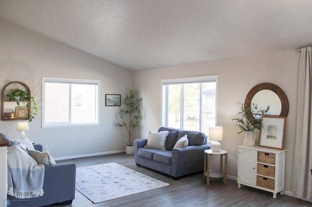 living room with a wealth of natural light, vaulted ceiling, dark hardwood / wood-style floors, and a textured ceiling